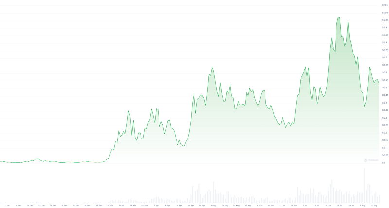 Заработать на новых мем-токенах оказывается сложнее, чем выиграть в казино. Почему так происходит?